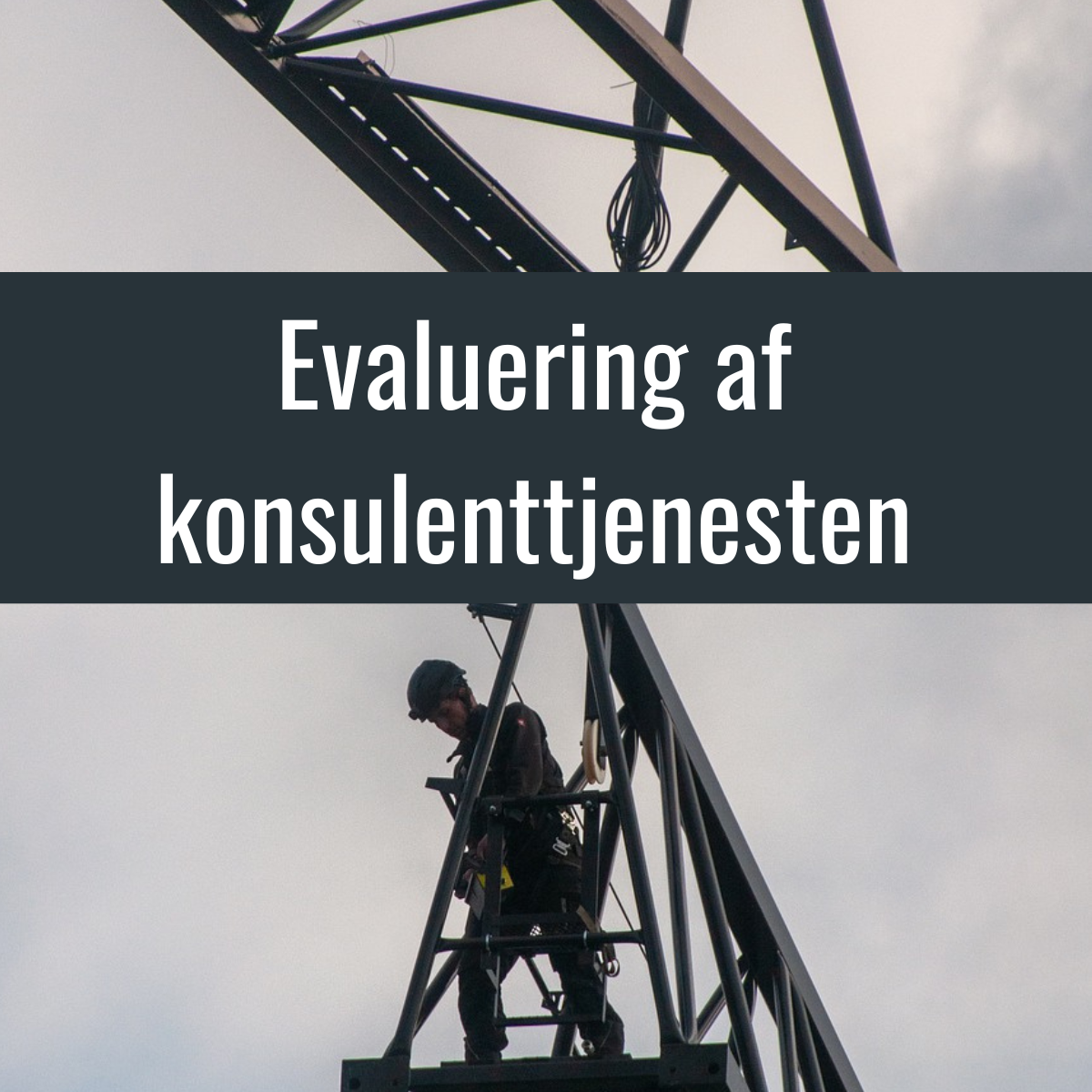 Evaluering af konsulenttjenesten