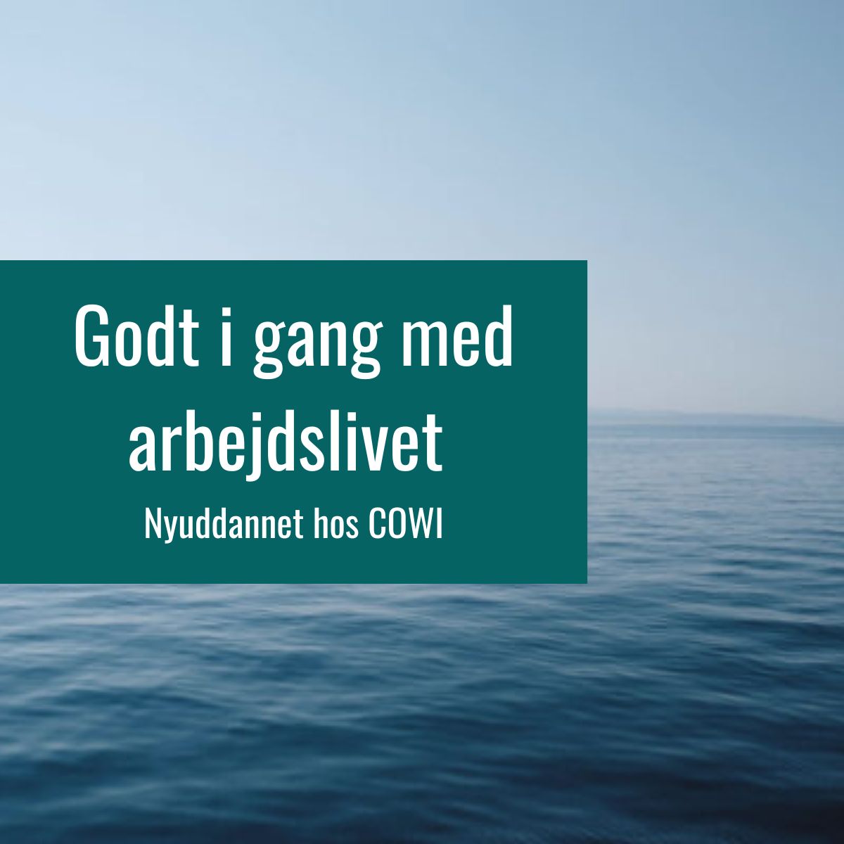 COWI