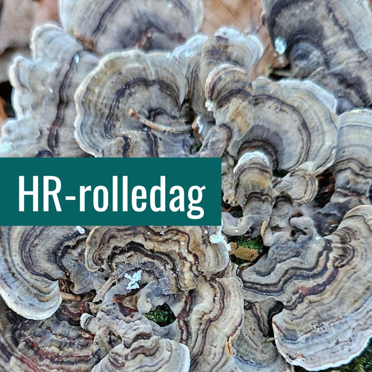 HR-rolledag