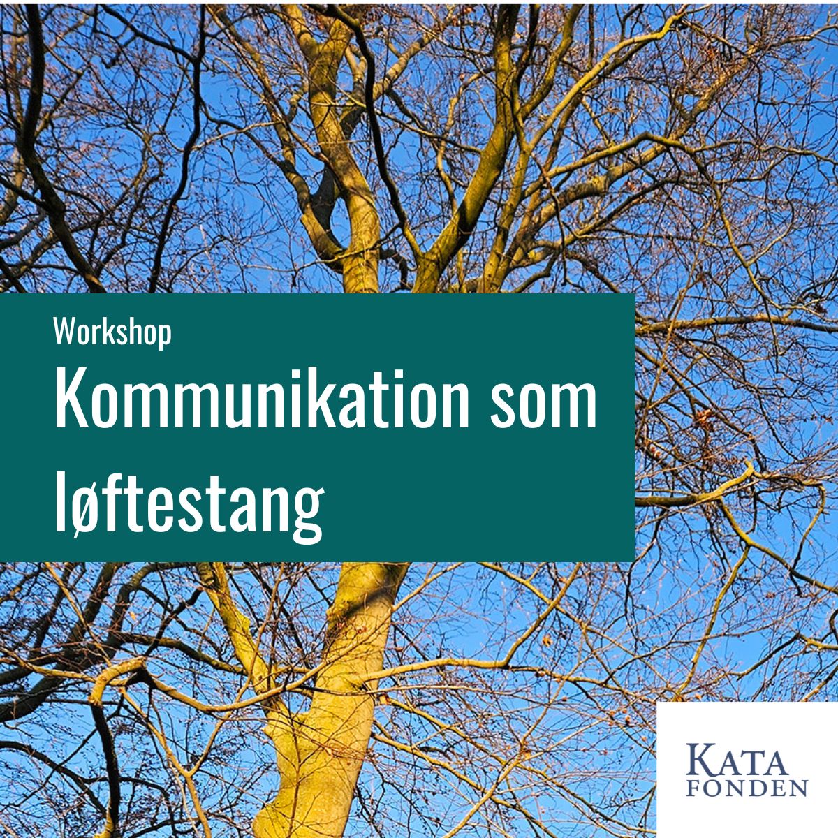 Kommunikation som løftestang